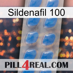 Sildenafil 100 22